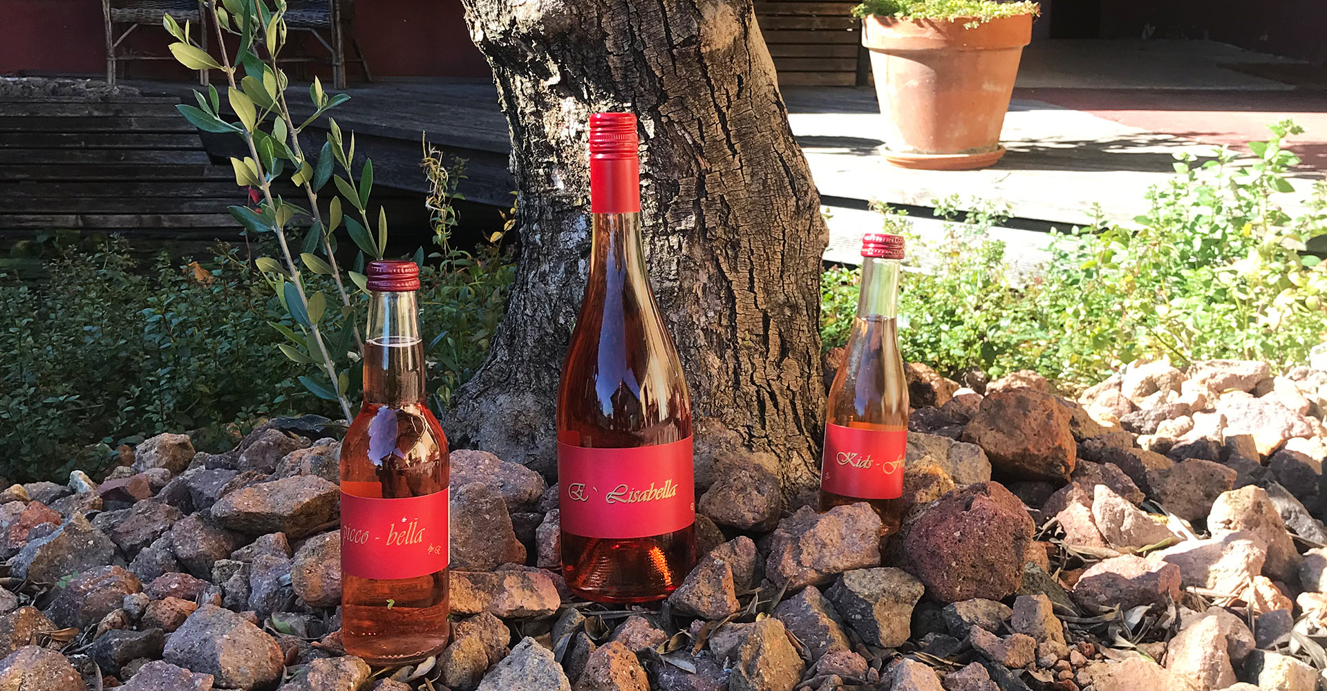 Elisabella Frizzante